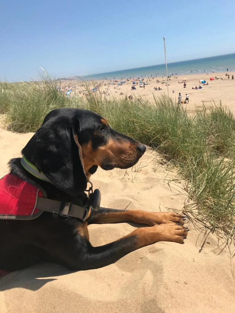 EF10957F-C2FF-4426-A8EF-9FB99A8E1870