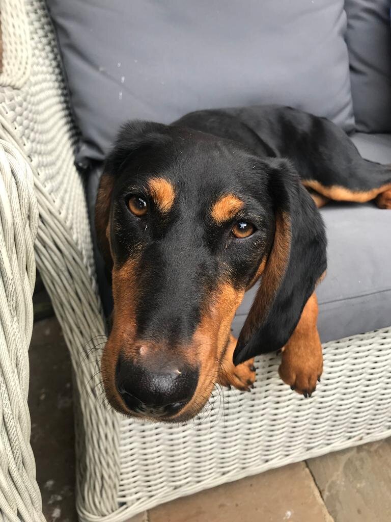 24225784-4A07-4259-8AED-405B663BD8FB