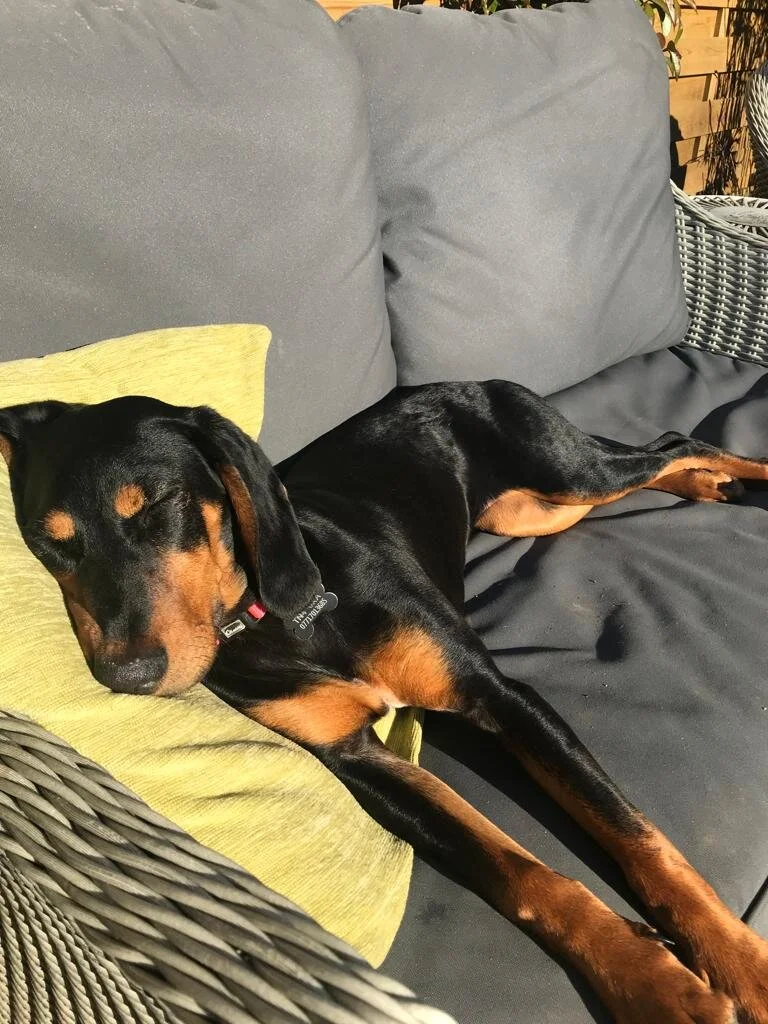 79078FF3-BC12-4075-BE80-517F0521031C