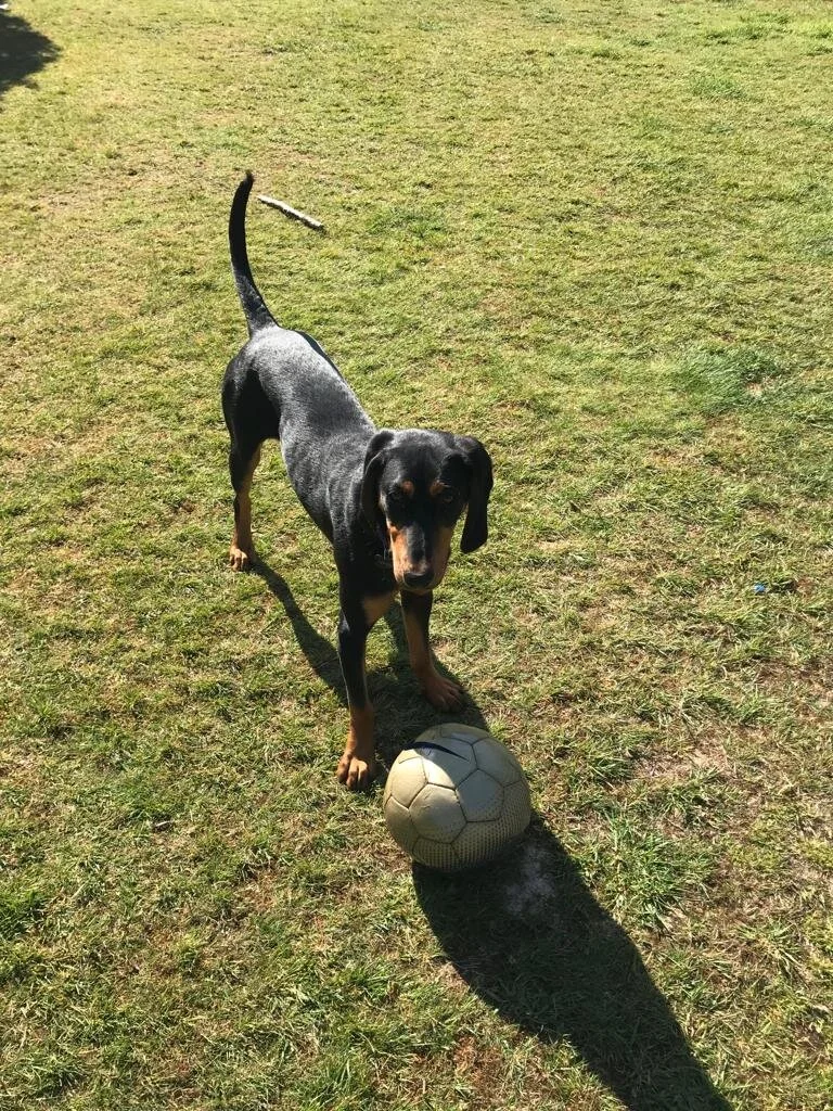 CF3AA015-6A23-4D97-9502-D0B3C0764F30