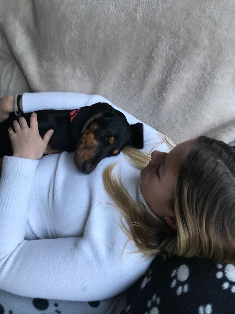 05D5809E-0FE2-450A-8036-939D18ED9C2D