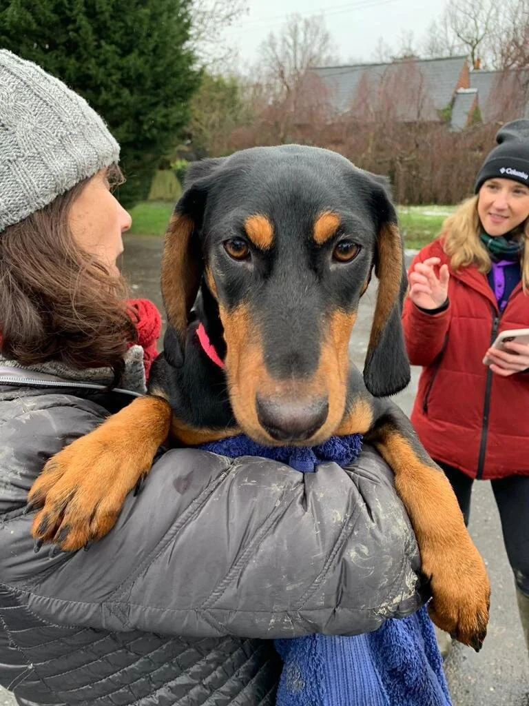 4BCC0A33-58EE-4117-985F-1CDE317D1E62