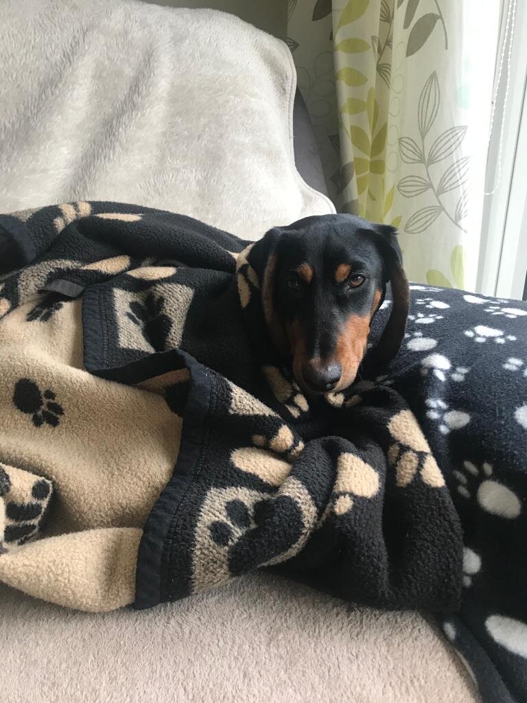 2DACCE6E-29A1-43F7-BE09-E22180705983