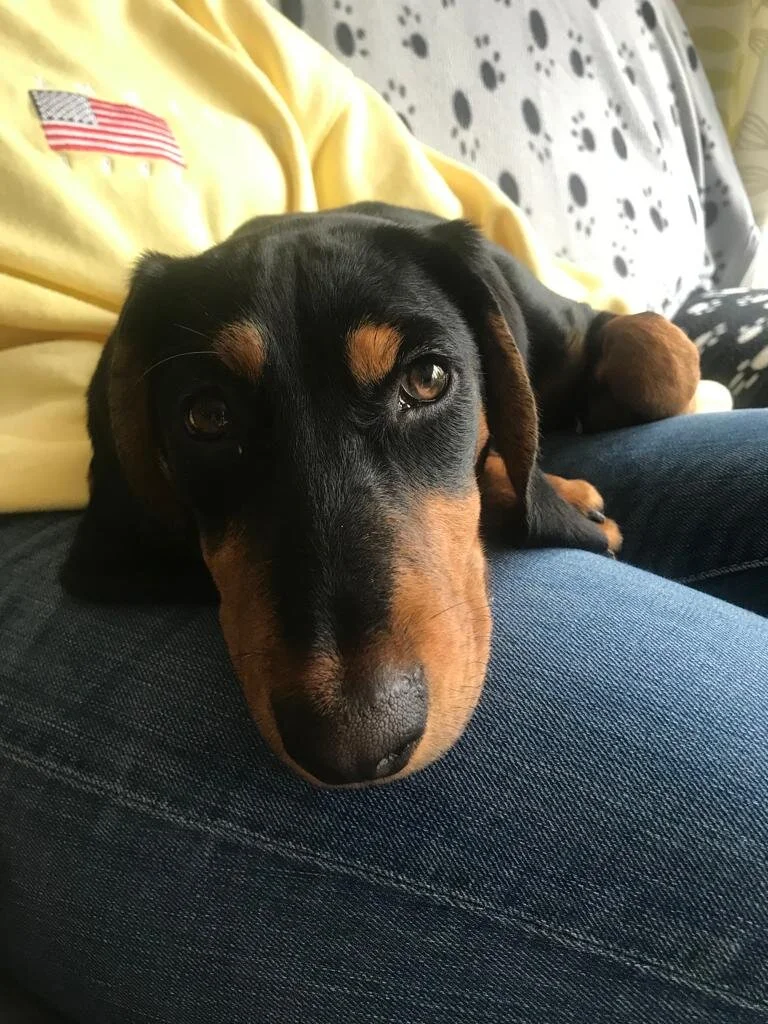 44CD6DA1-6ED8-4D67-BA88-8B95A562C989