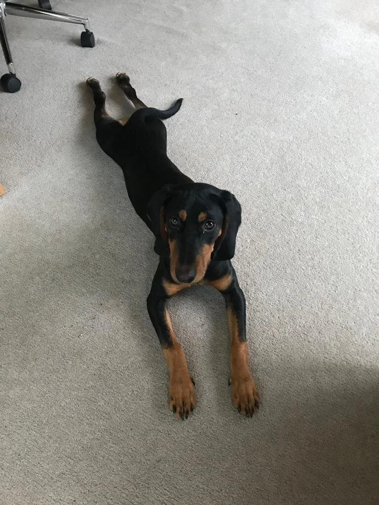 A487F222-72AE-4056-BA69-9245800ECA4E