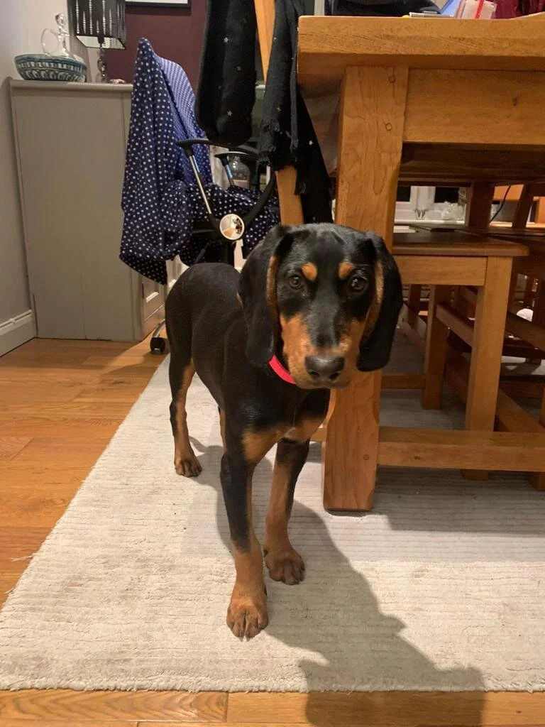 11901880-72D2-4FAC-8064-C069C37AEDD9