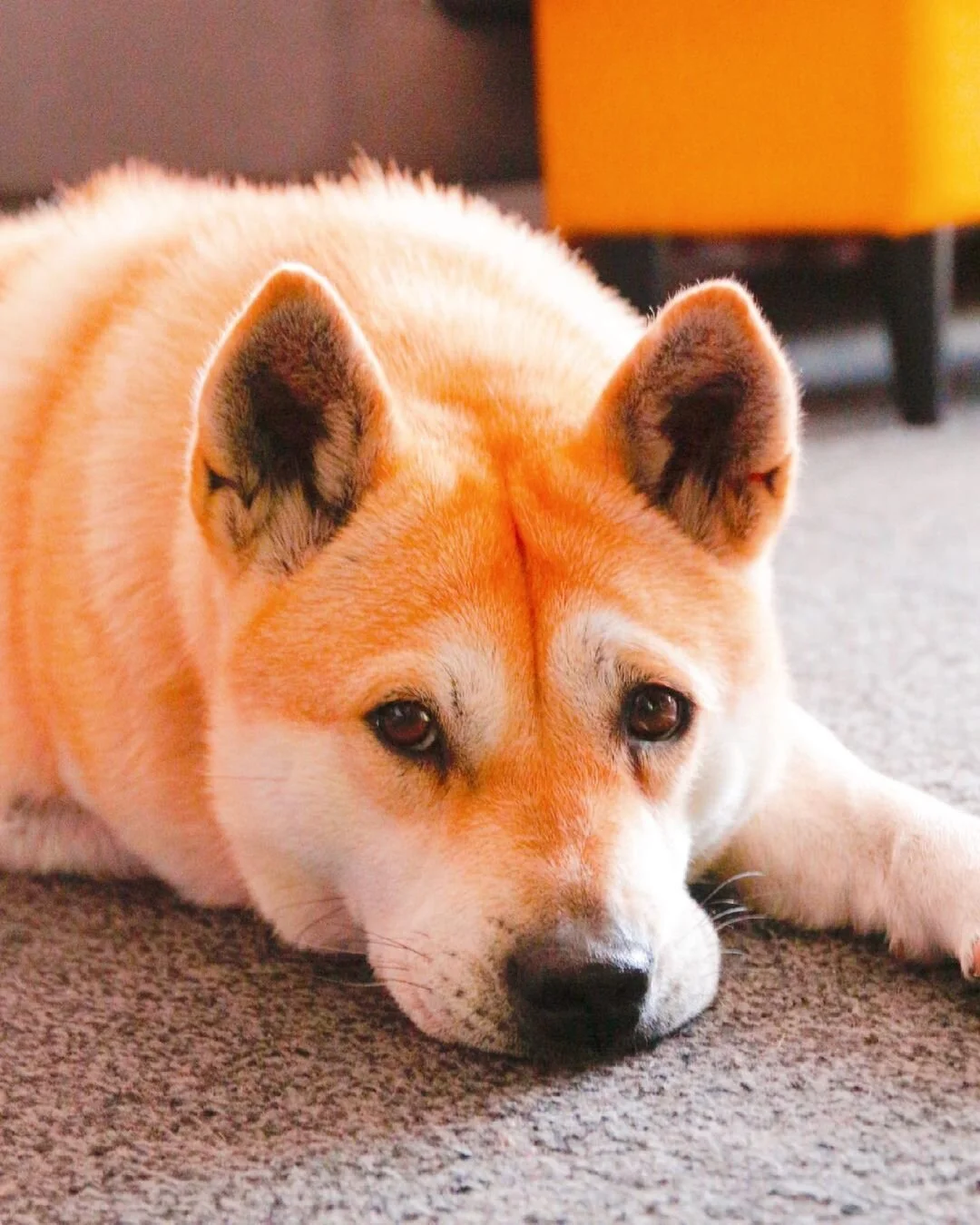 E46148CF-20B9-42E7-884E-EF780AC105D3