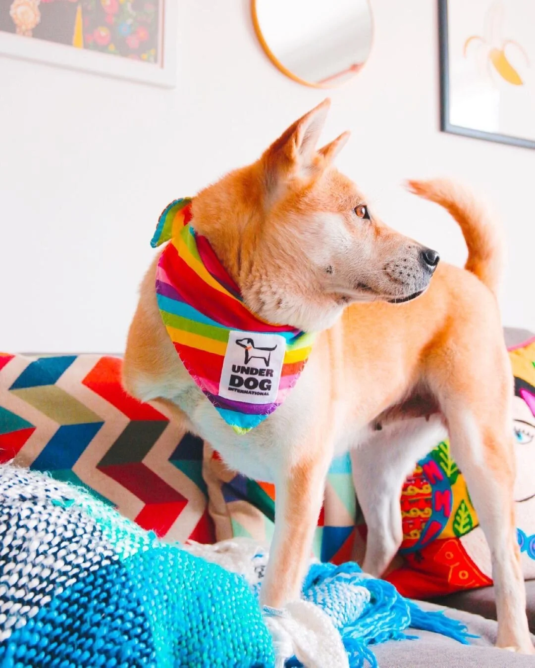 6B28A7BC-67C6-4748-957D-937A687ED6EB