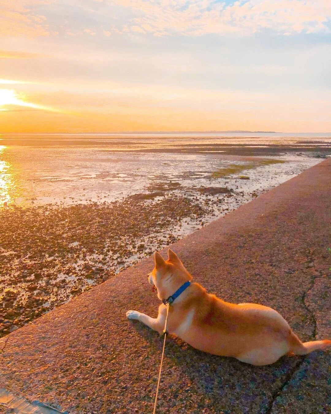 313B8C66-A911-4D95-8A38-237B5151EAAD