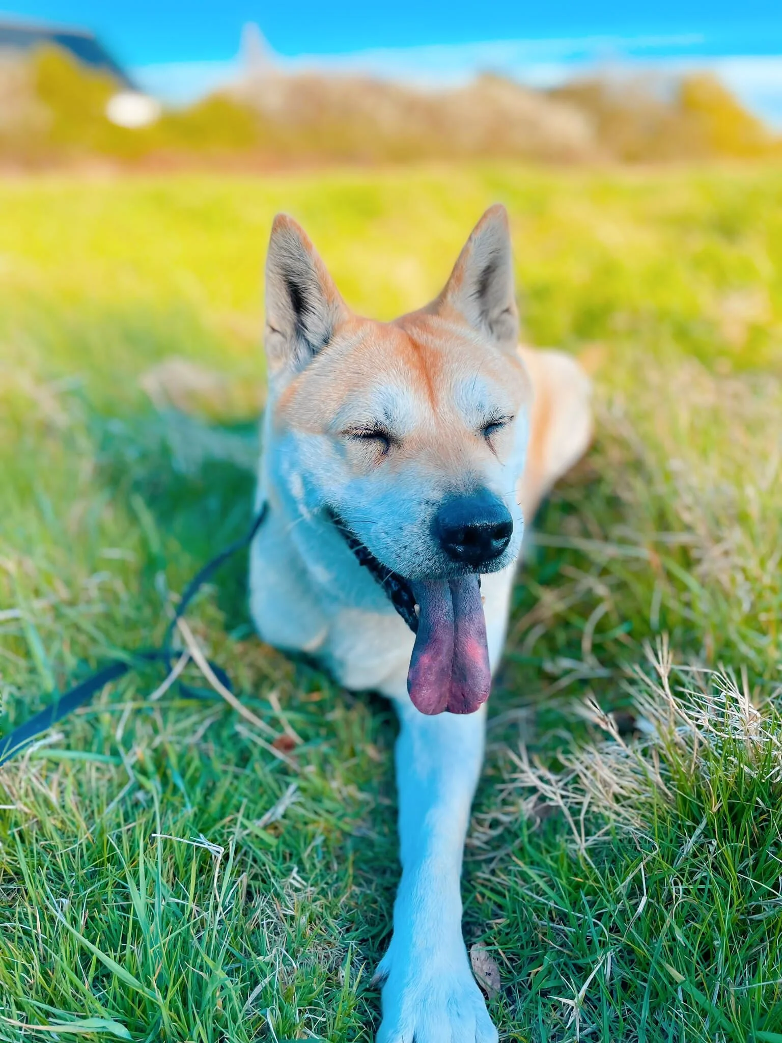 D5F7CE2C-5975-4587-B60F-39566D3421BB