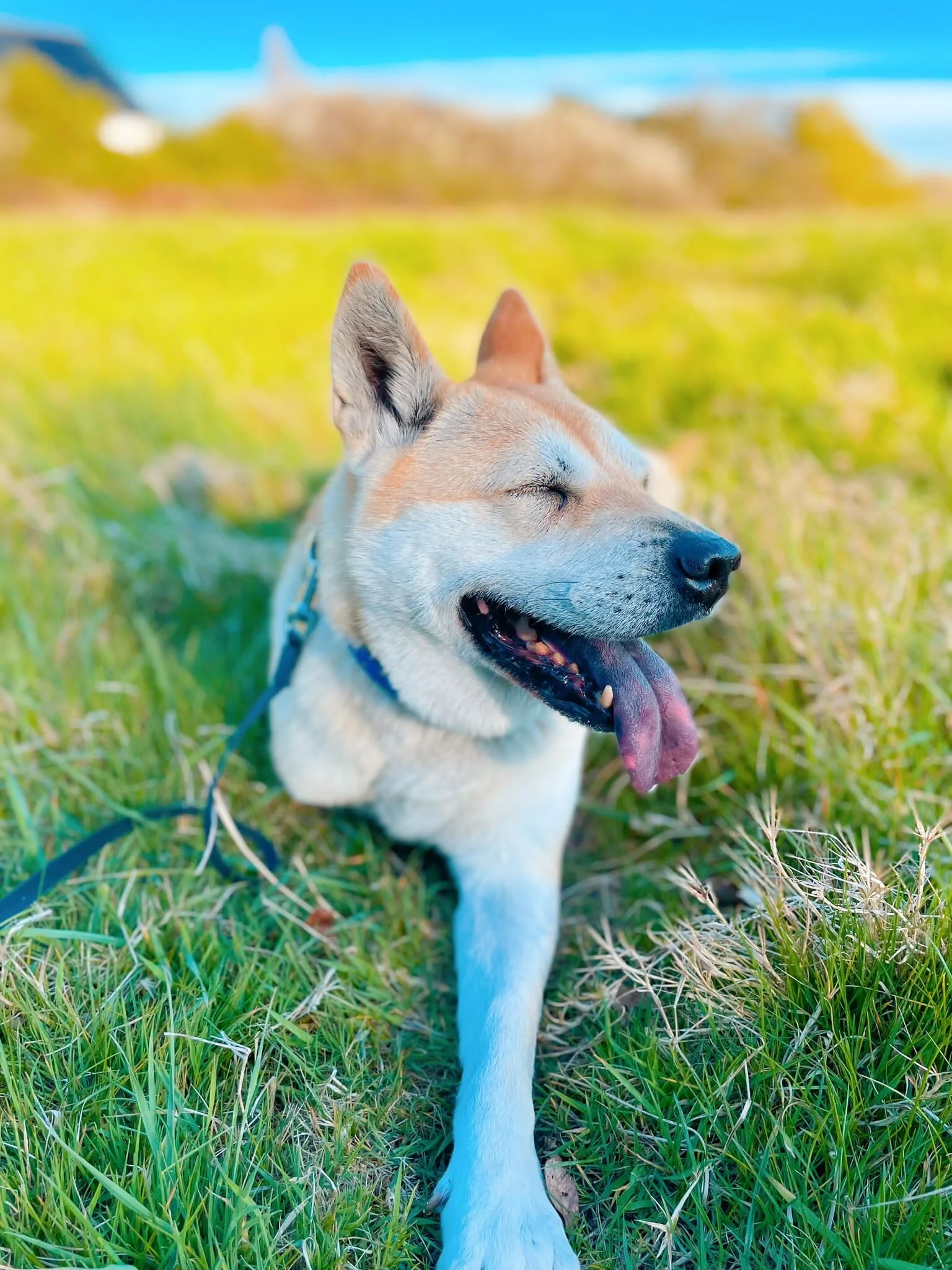 DAAD7360-8278-4C89-B1AE-764DF6FA1712