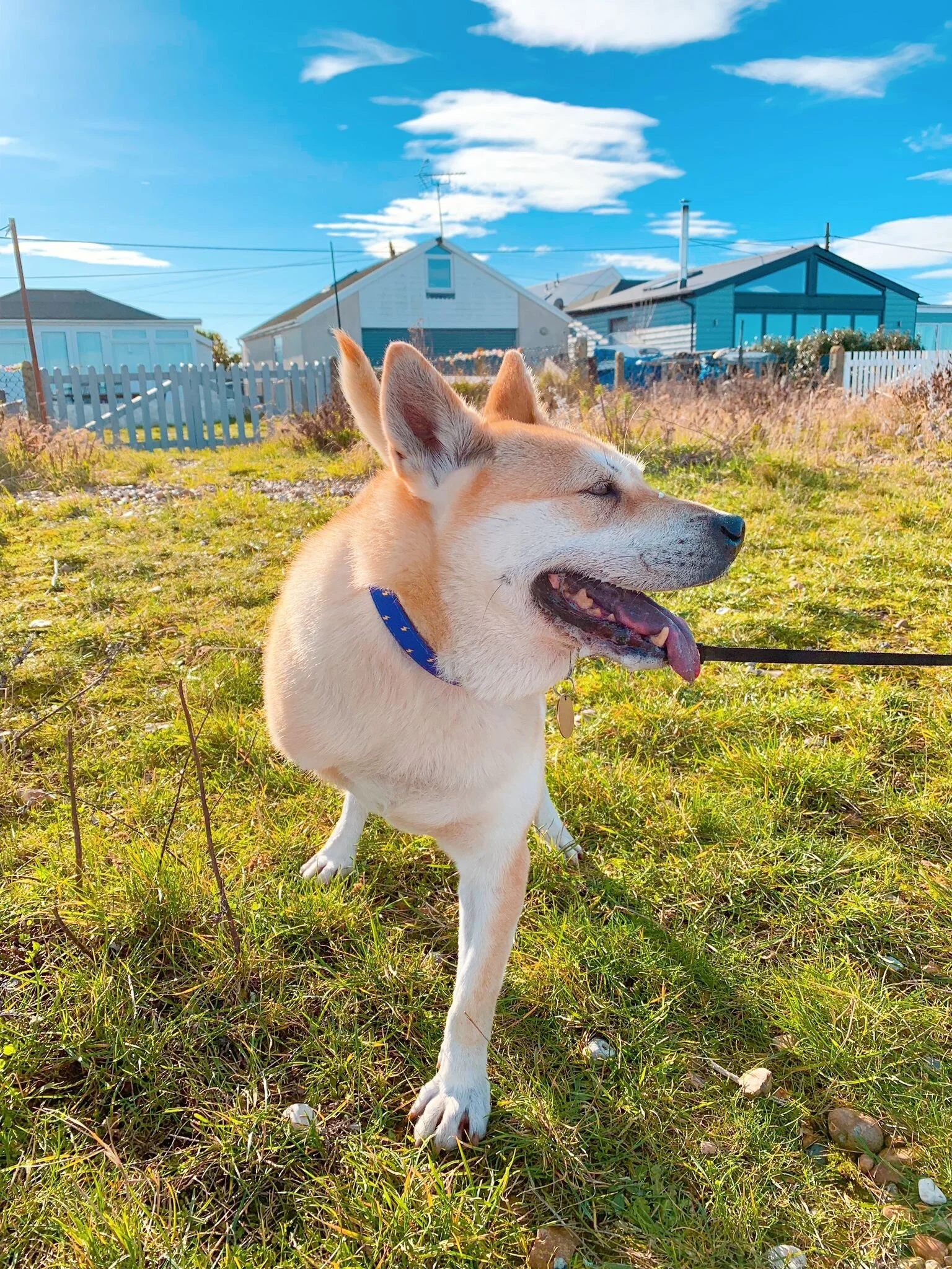 2E78565D-D2F0-41CA-BB38-C2FC8CA14EF7