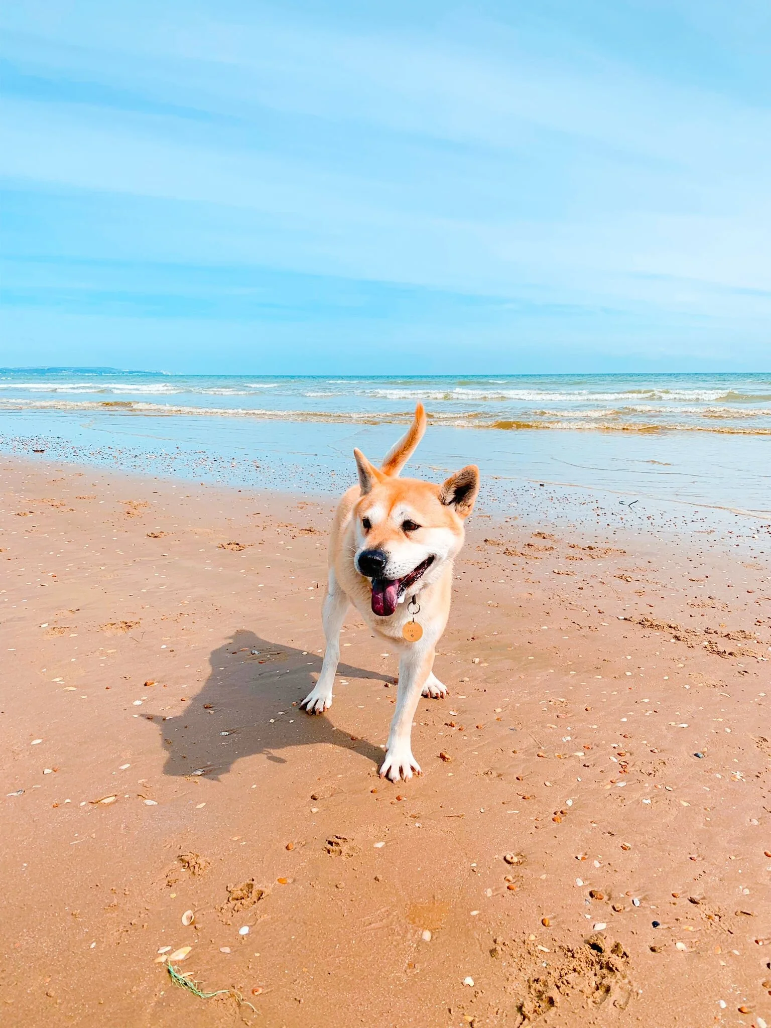 92419B70-6CFA-46FB-BDC5-460CCAE4CD7F