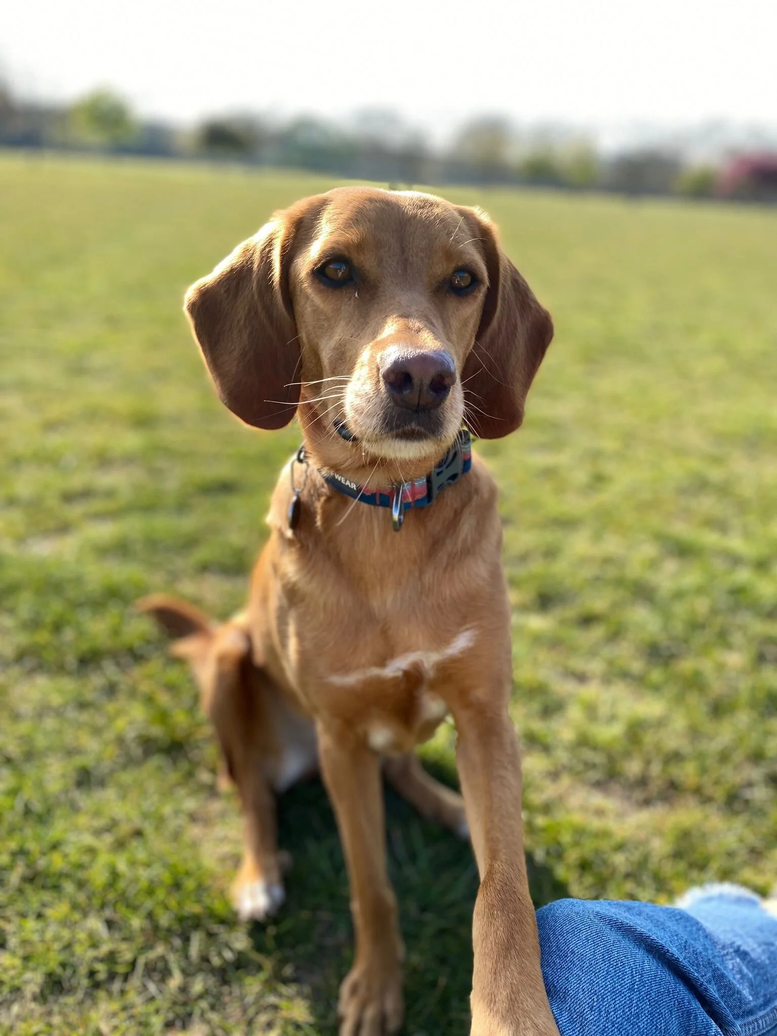 529B5830-4262-4EDB-896B-447804674FD9