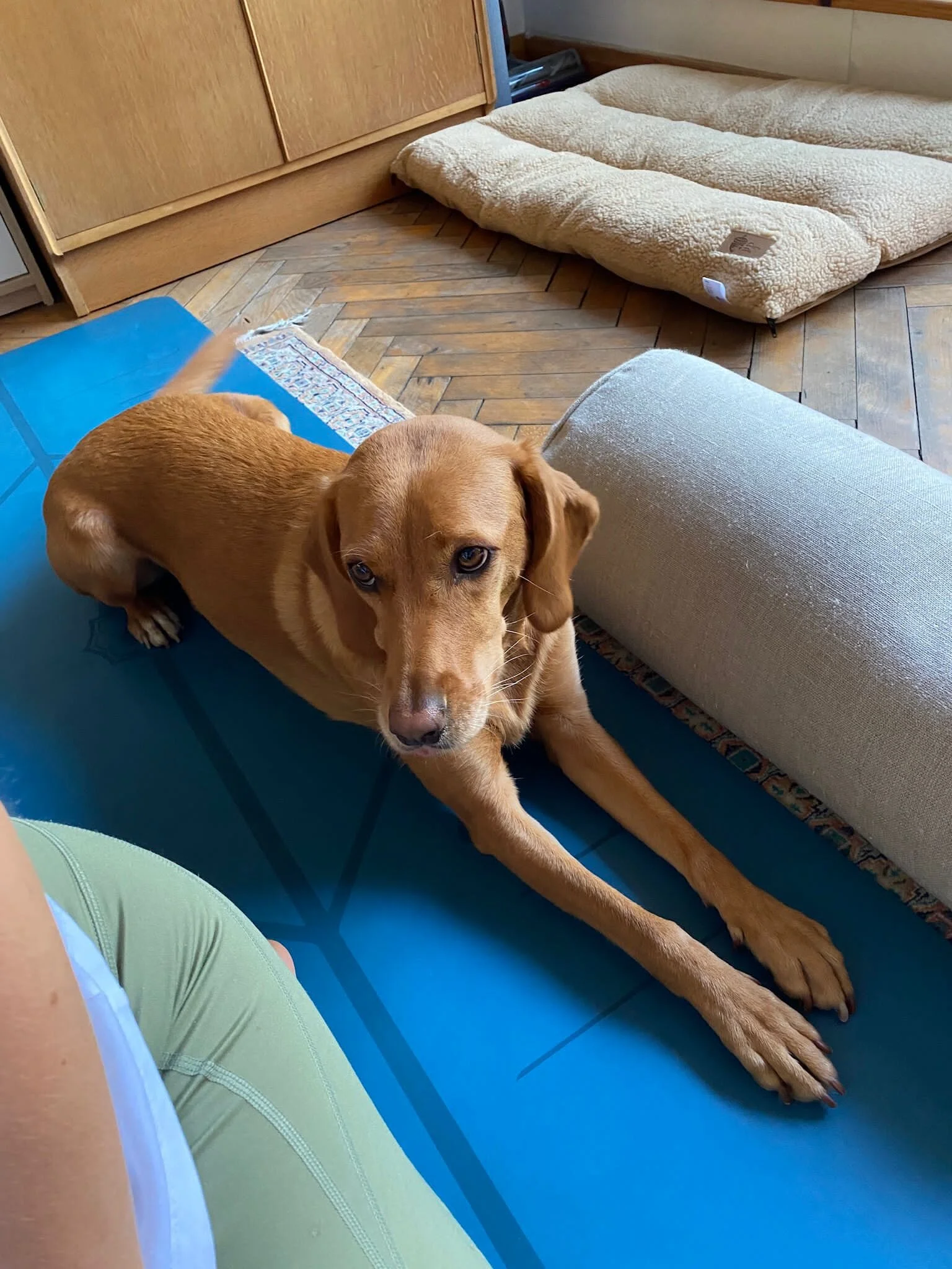 8E86E8E4-3A38-493E-A90C-AB62CDF4ECC5