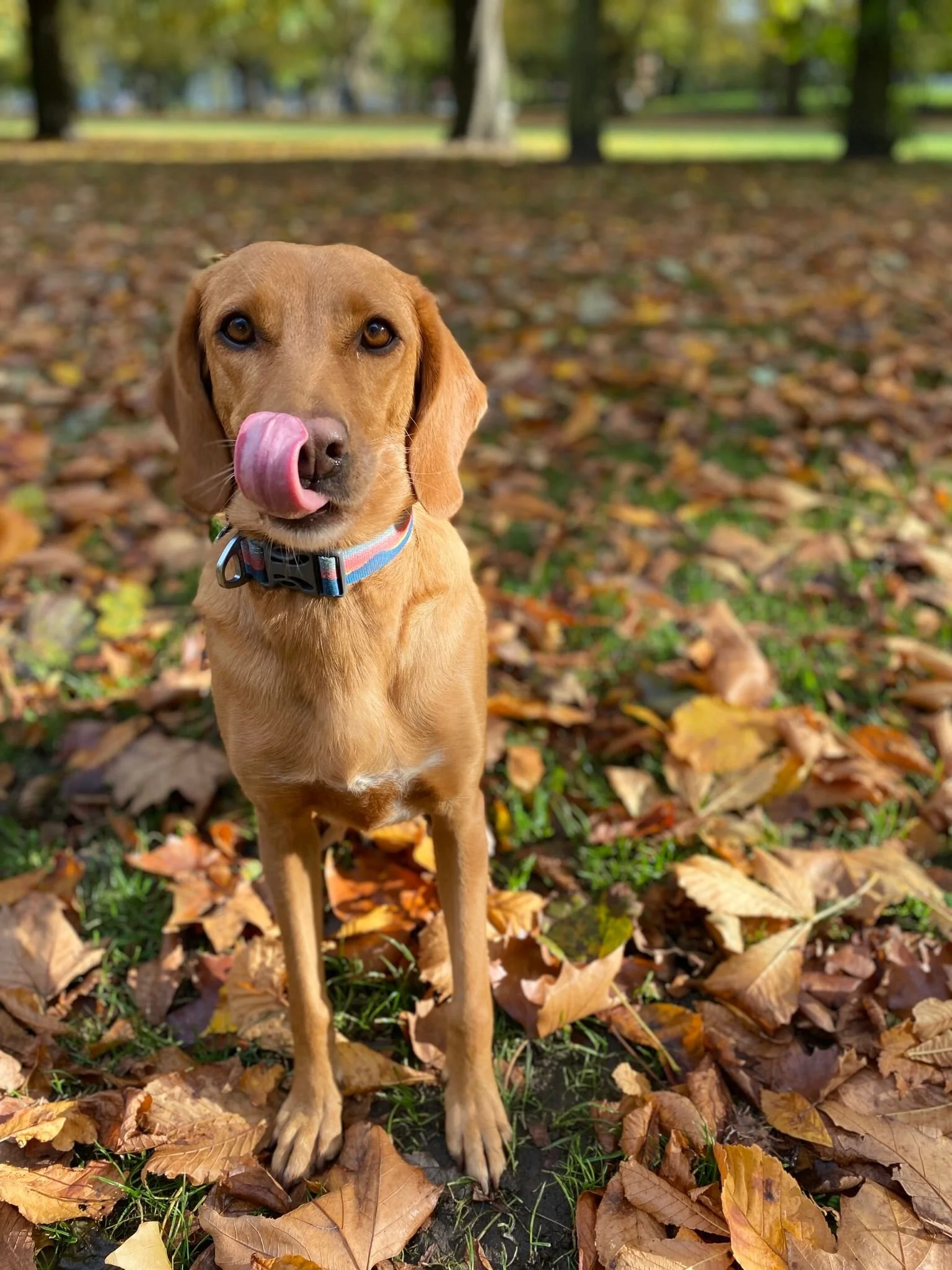 7A7ABB70-F6CC-42C1-B310-3E10812B16E5