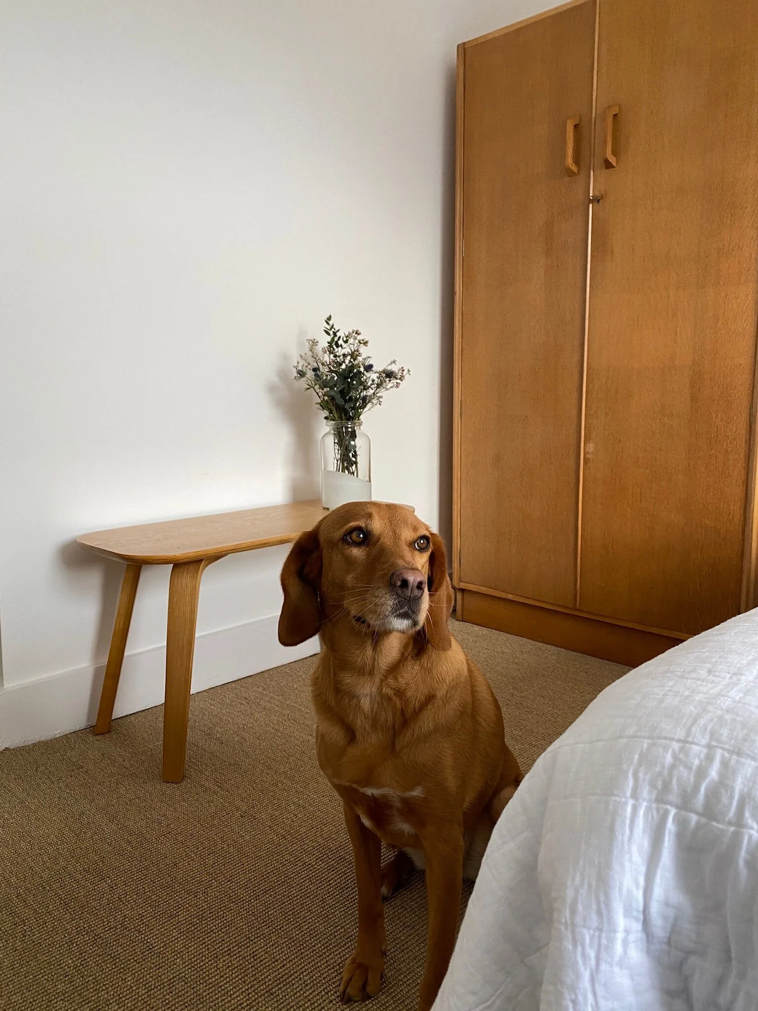 FC22F478-6EA8-4CAF-AF8E-DEAC2F477985