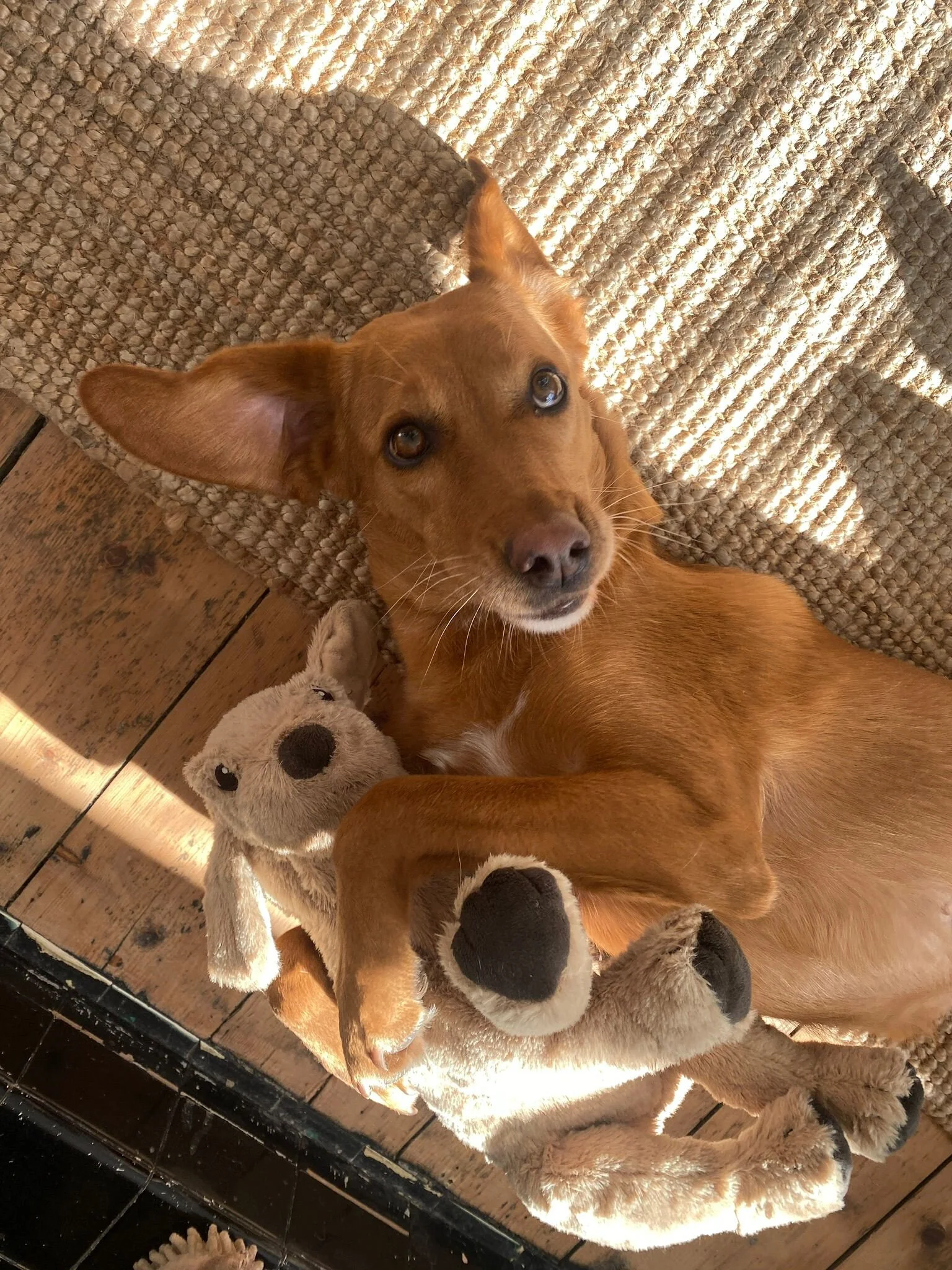 F853CED6-9A93-4EB1-AB39-761E39BA3302