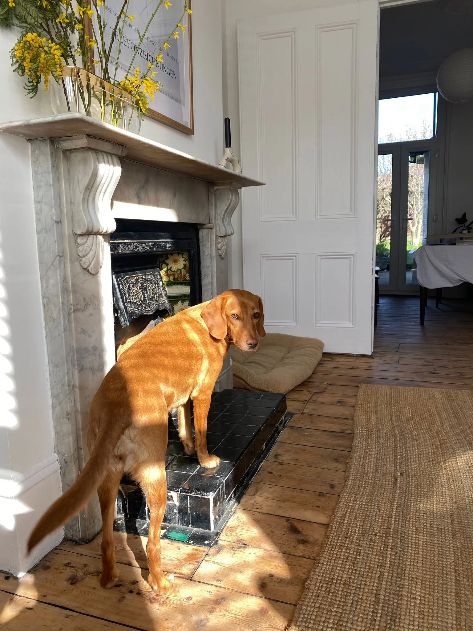 A80D9197-0924-49FF-A8A3-2FE33E58F8A0