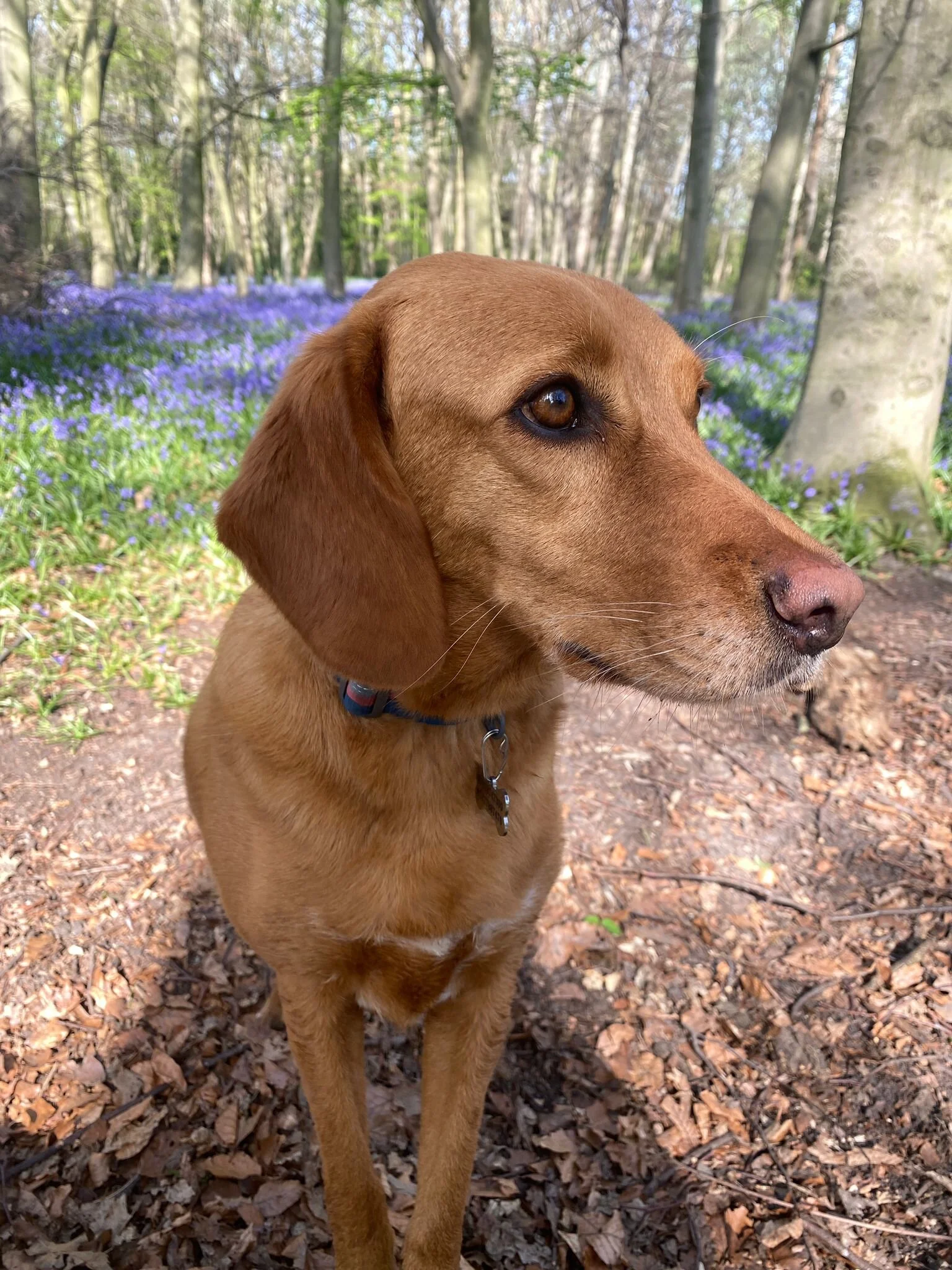 4BEC4BC6-EEB4-4CB3-B037-E85023932C46