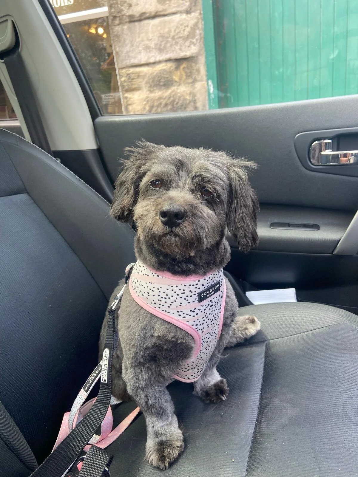 18B965FE-F2C9-4D0B-87B4-788860572655