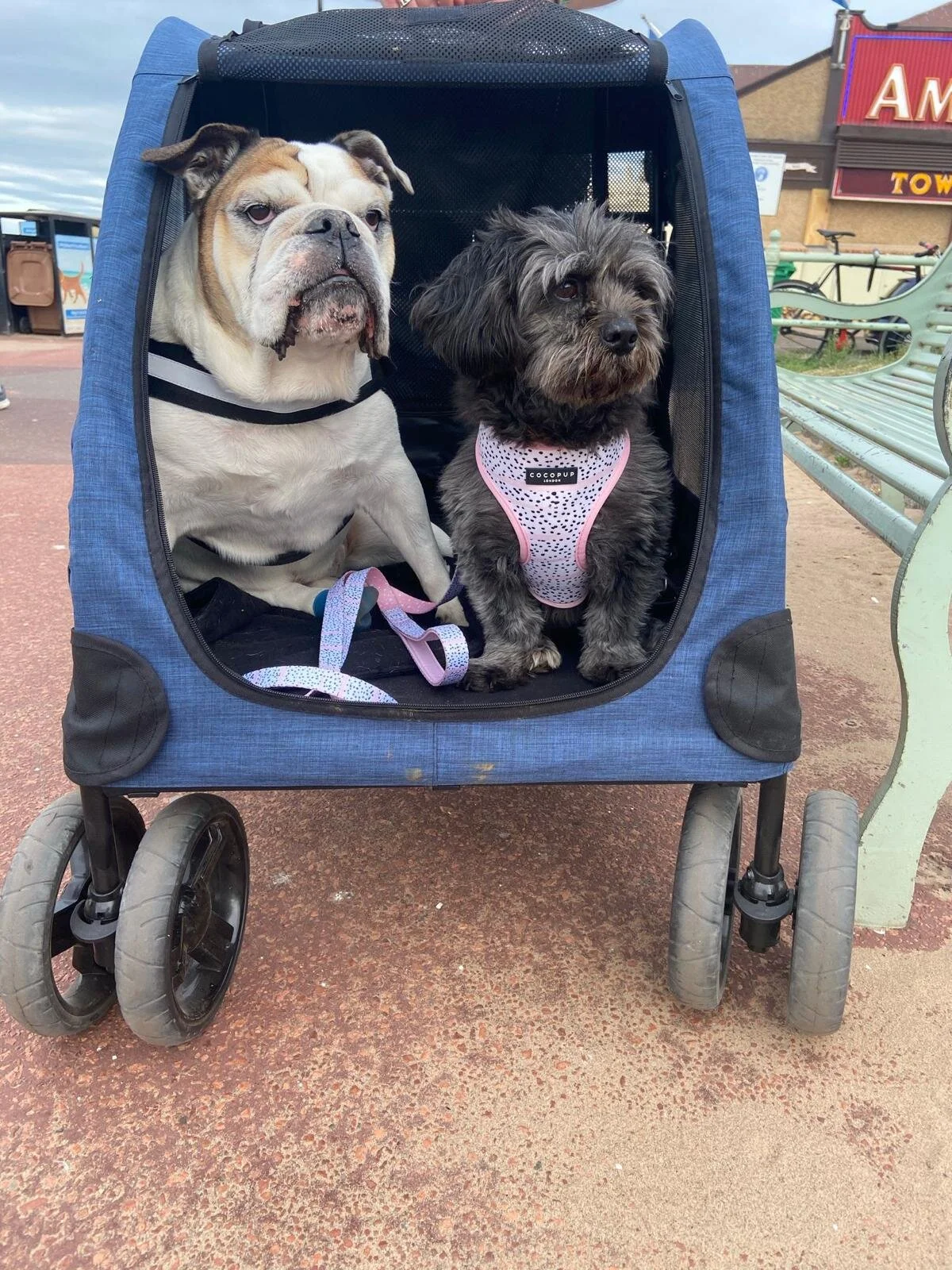 3DD00135-44B8-477F-AC05-DFF9AA89DF54