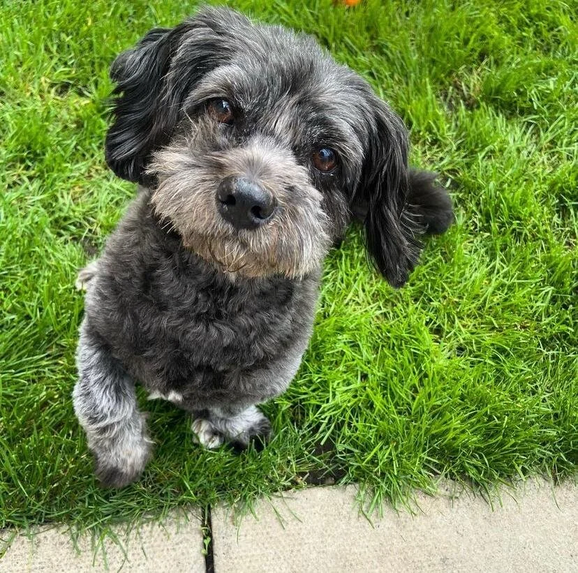 E6B076BC-BF12-4811-B31A-87AF0E2F95A5