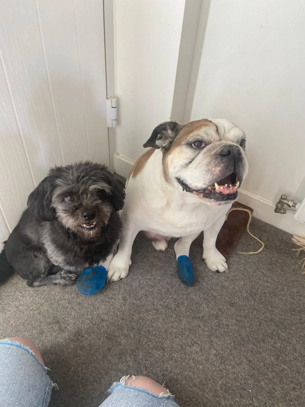 7B7C2C47-49BA-46B9-9F56-BA46BFAE1EC1