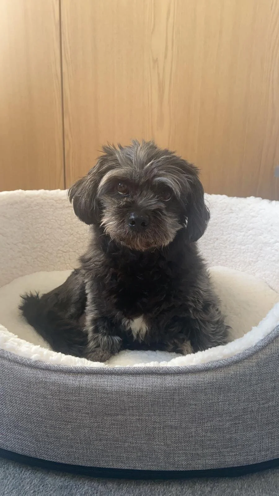 F26A74D9-A877-4440-96BA-E9D95FC78834