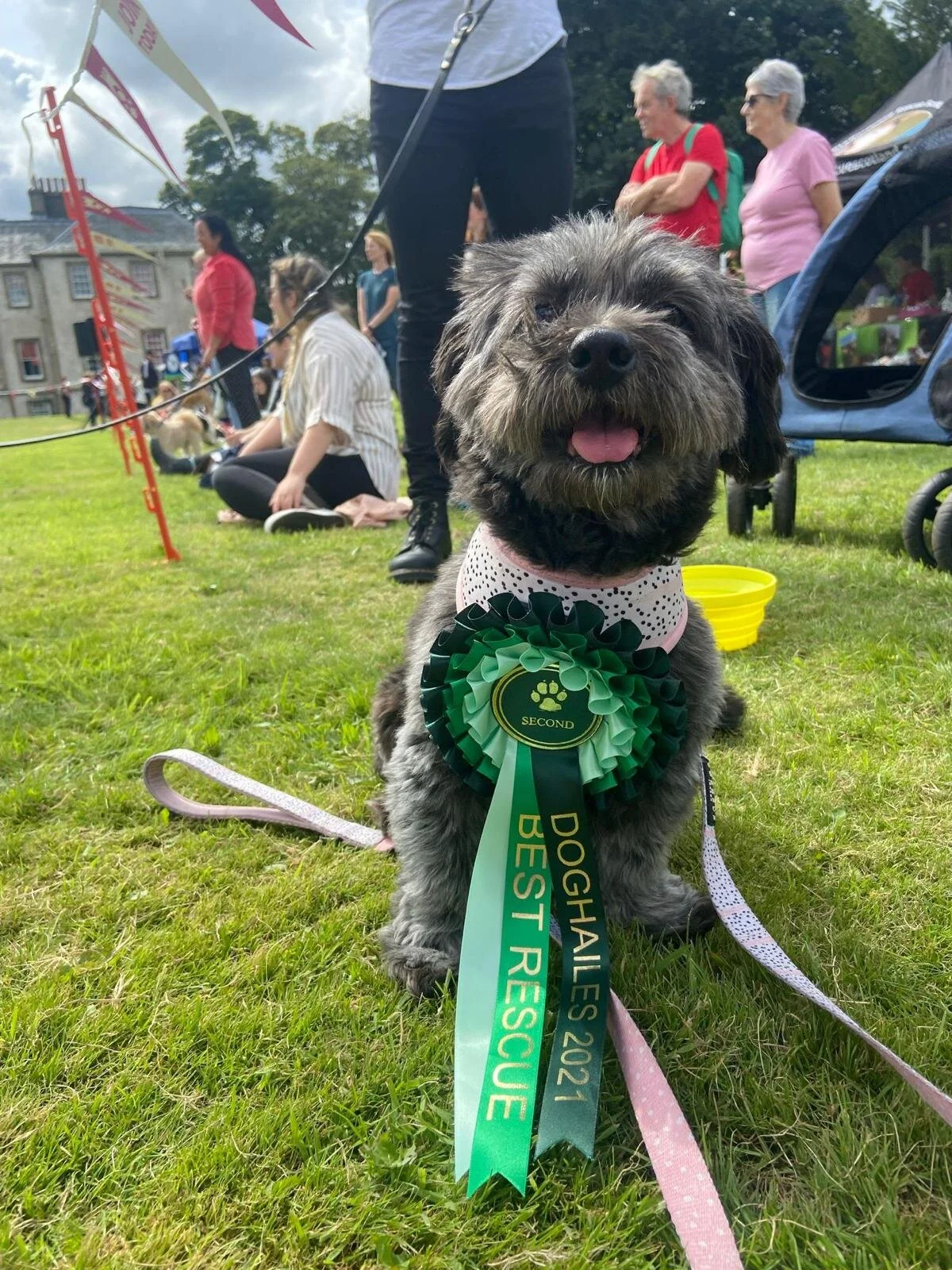 D1DD38F9-951B-4F5D-A480-FAFF7C785015