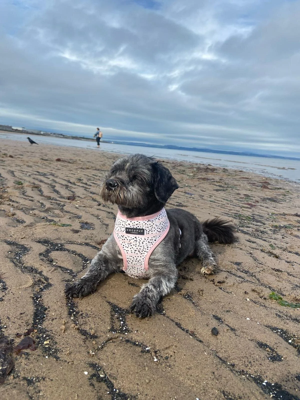 6DF4B2D0-85BE-45E3-A1D1-4E9B1BBC3524