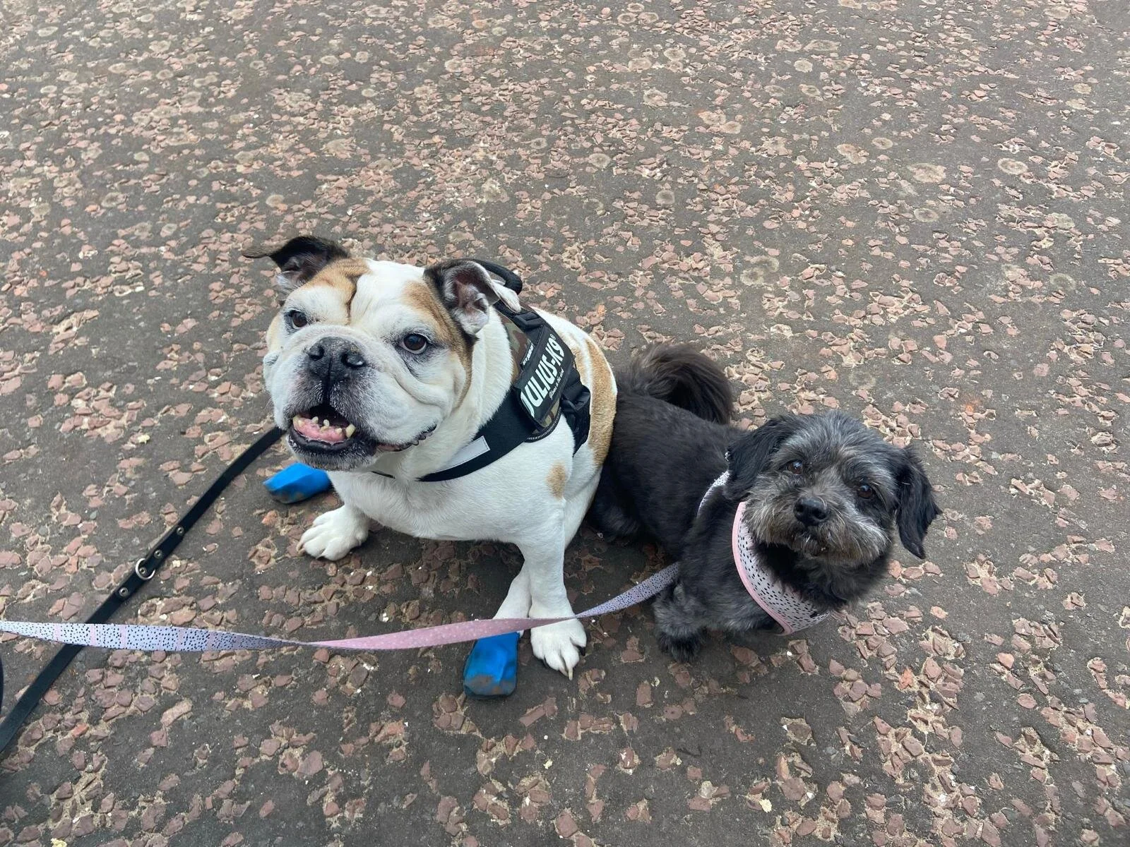 EEE7DC0A-9944-43E8-A1A4-E72DCCB5B01C