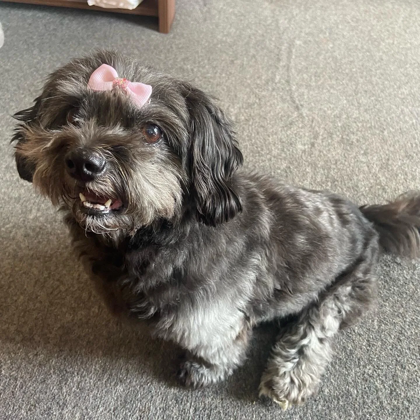 F239AA18-3A5F-47F6-81A6-F8F7E4542AF0