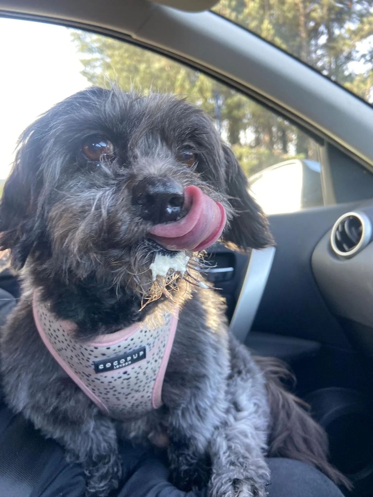 C024C273-0D21-45F3-B252-AB31758439ED