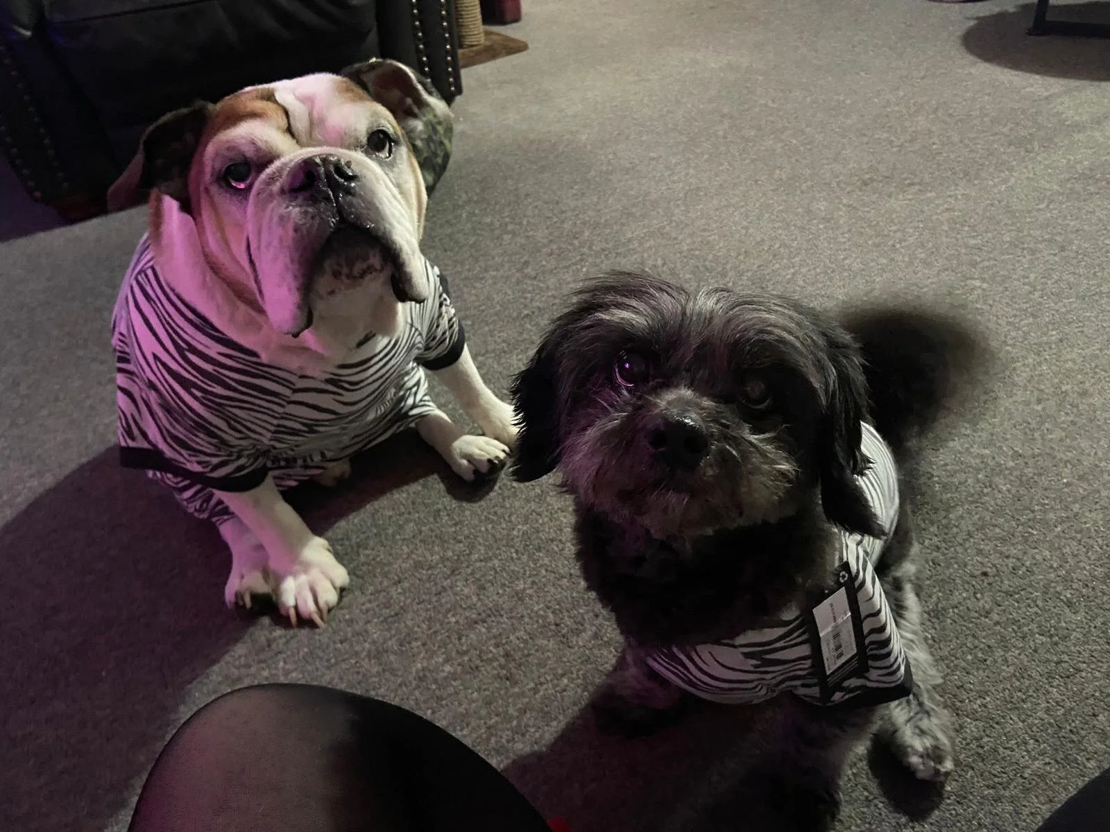 010CD1FB-10BA-44B5-B115-AF5A772A1FE0