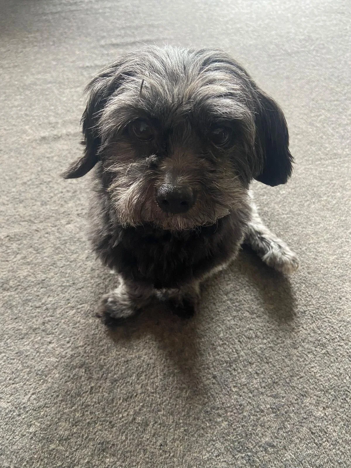 402CCE06-F269-4FCB-812B-1C7AC8E59E24