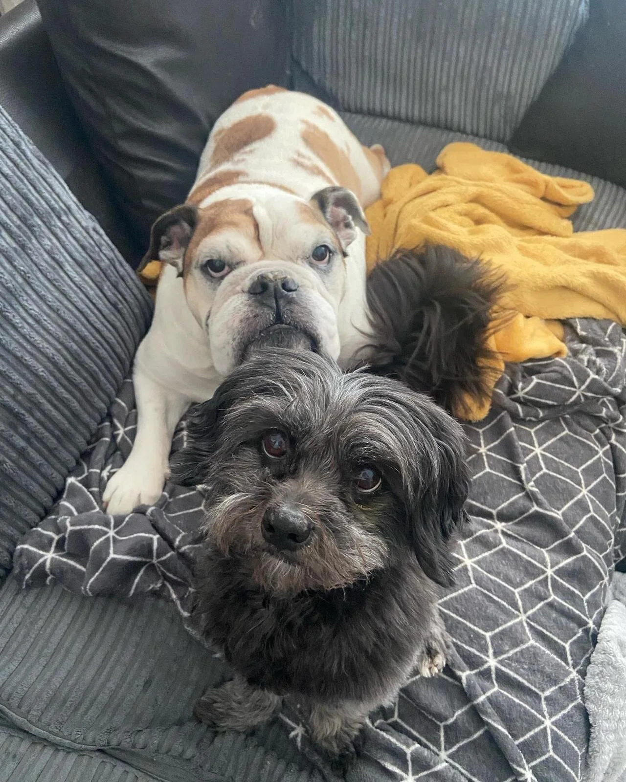 F03EFE56-028C-45B9-B92B-F17C7159735D