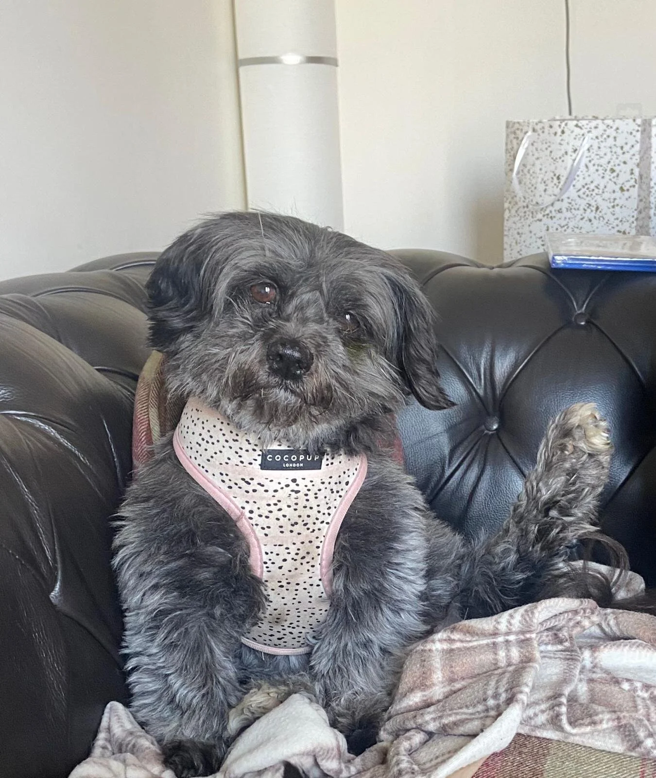 29F77128-32B7-4AF0-B773-DDAD336F705E