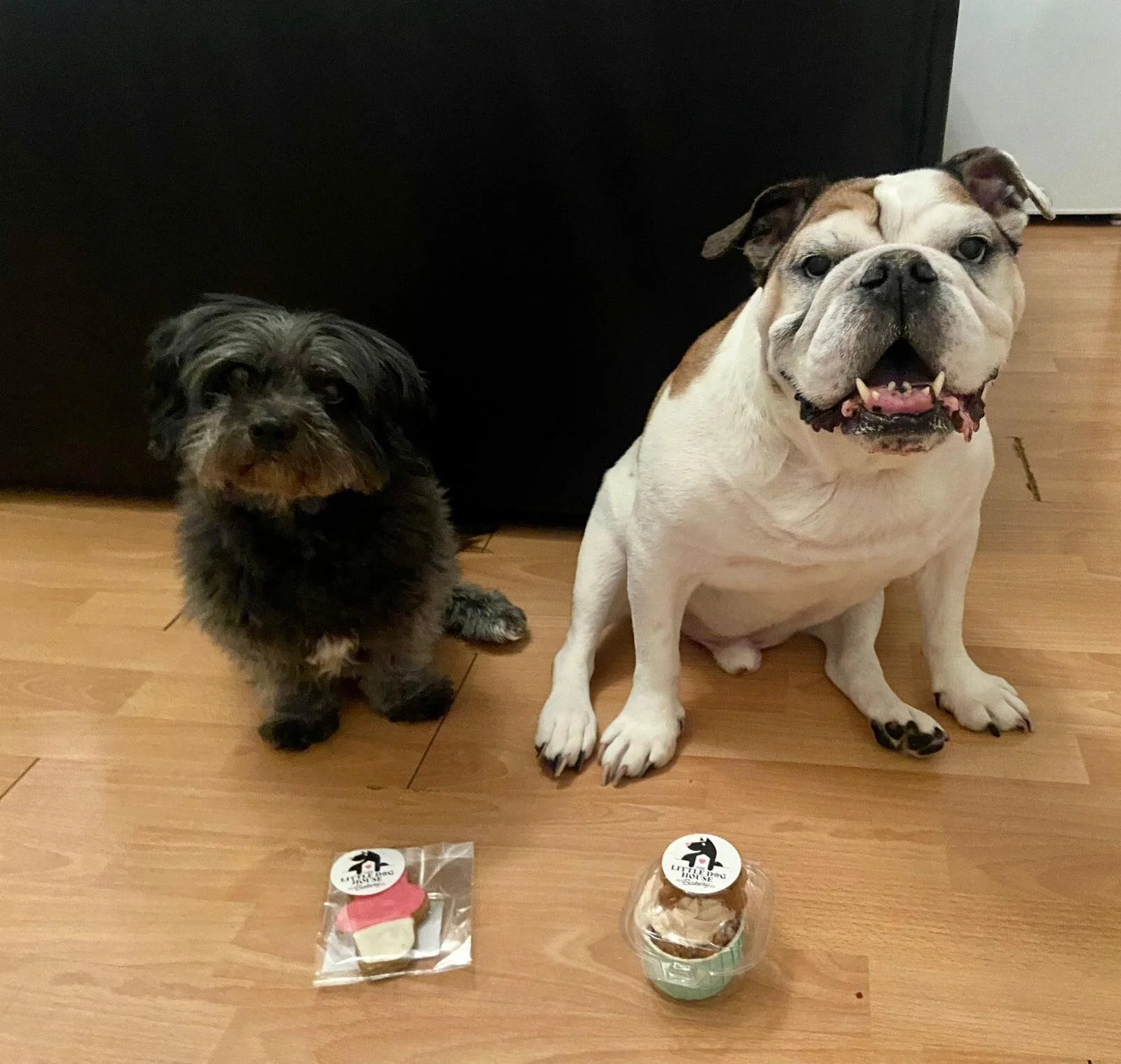 05DF6741-F445-4C26-92A3-442768BE5111