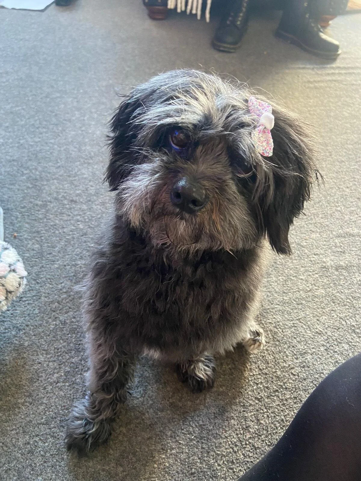 16C64548-FE33-4665-859F-1FF5A847078A