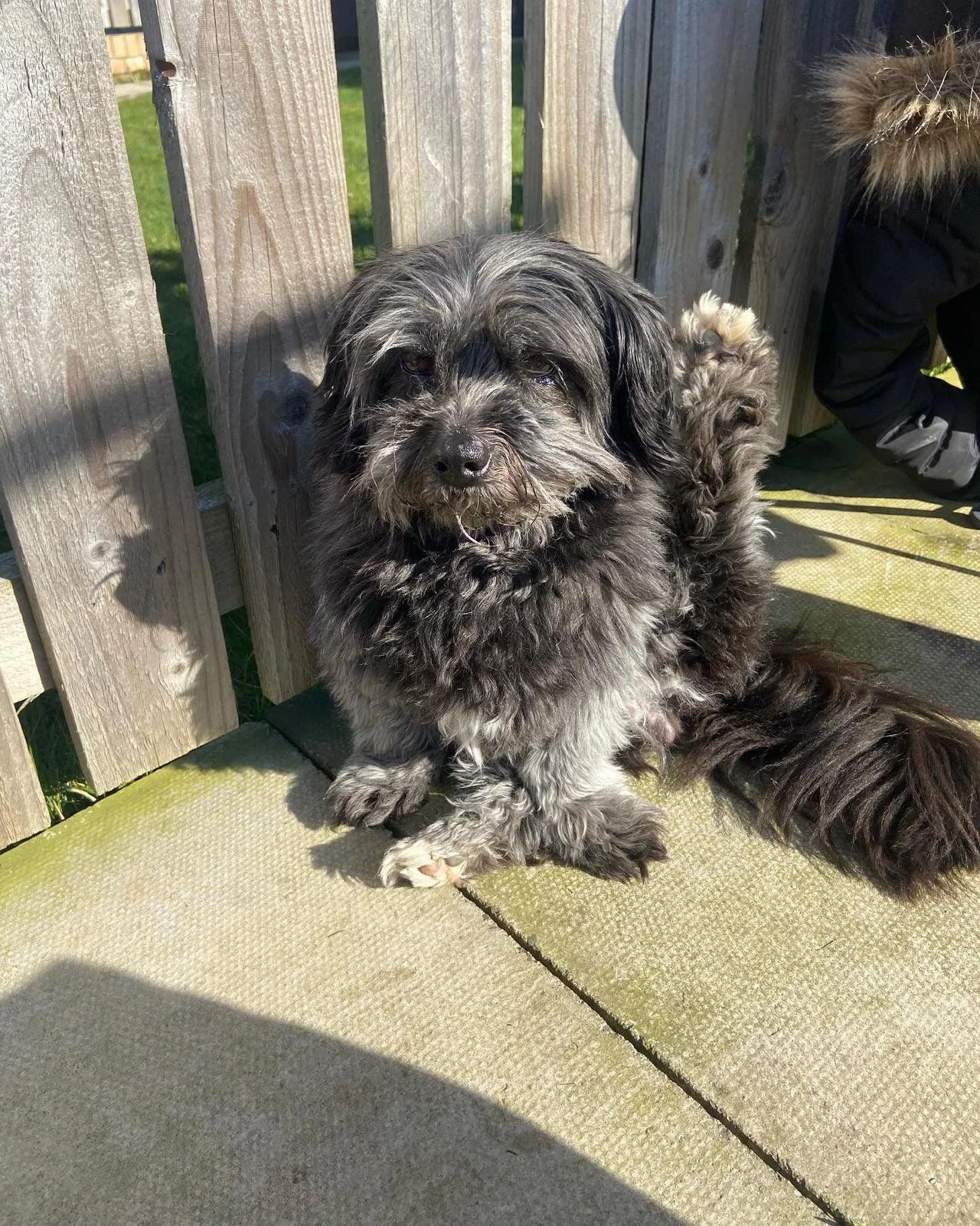 3443E71B-90D5-4B7B-95DC-D5700530D898