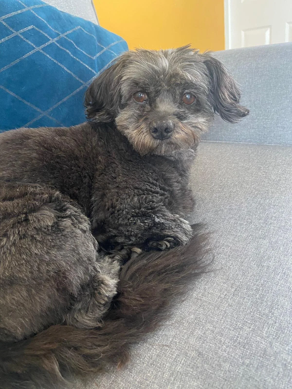 12900163-5A1F-4E29-83DC-61A0C0FDBB40