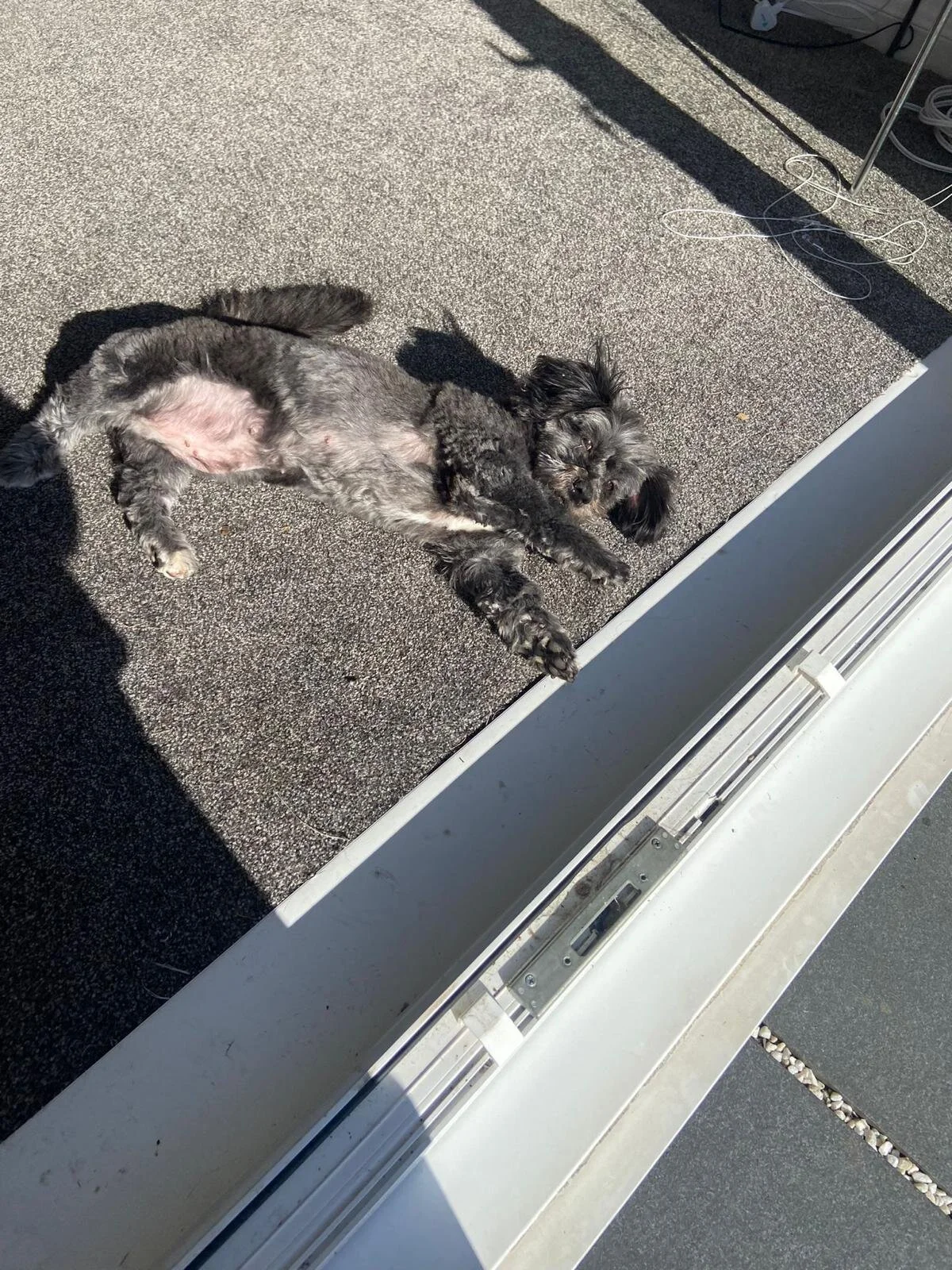 1399D9AA-71F2-4F06-B2FC-EC65CD497631