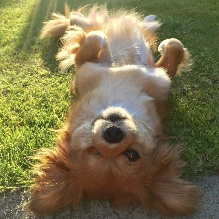 E428C0A6-05B2-495B-81B3-93A6F0DCAA50