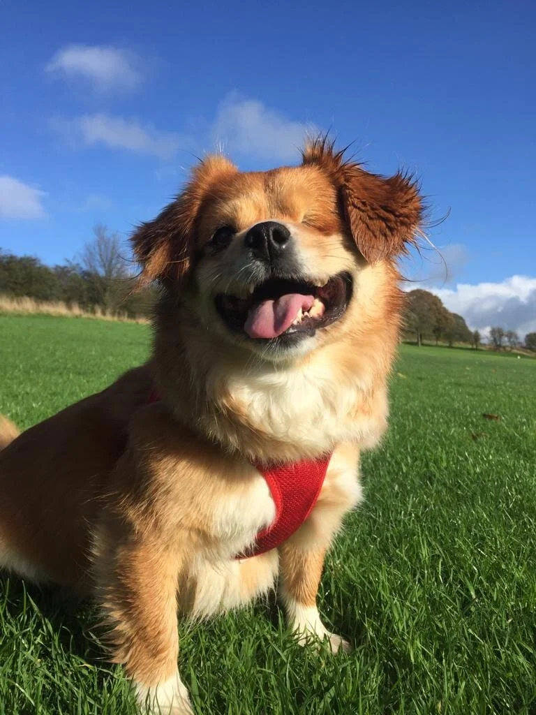 96133FC3-83DC-46DF-B561-0496AF953BAD