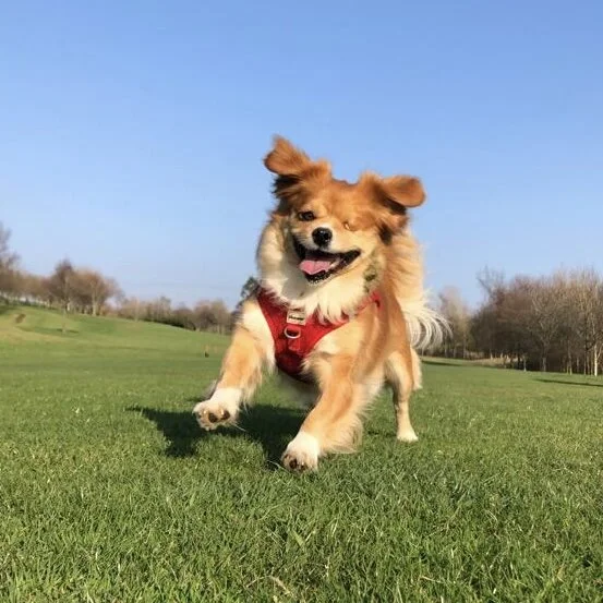 23C568C3-EDD1-493E-BCDC-26F48F2F964B