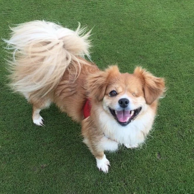 90CFF3DB-F3DC-41C6-936B-DECD1FBDD04B