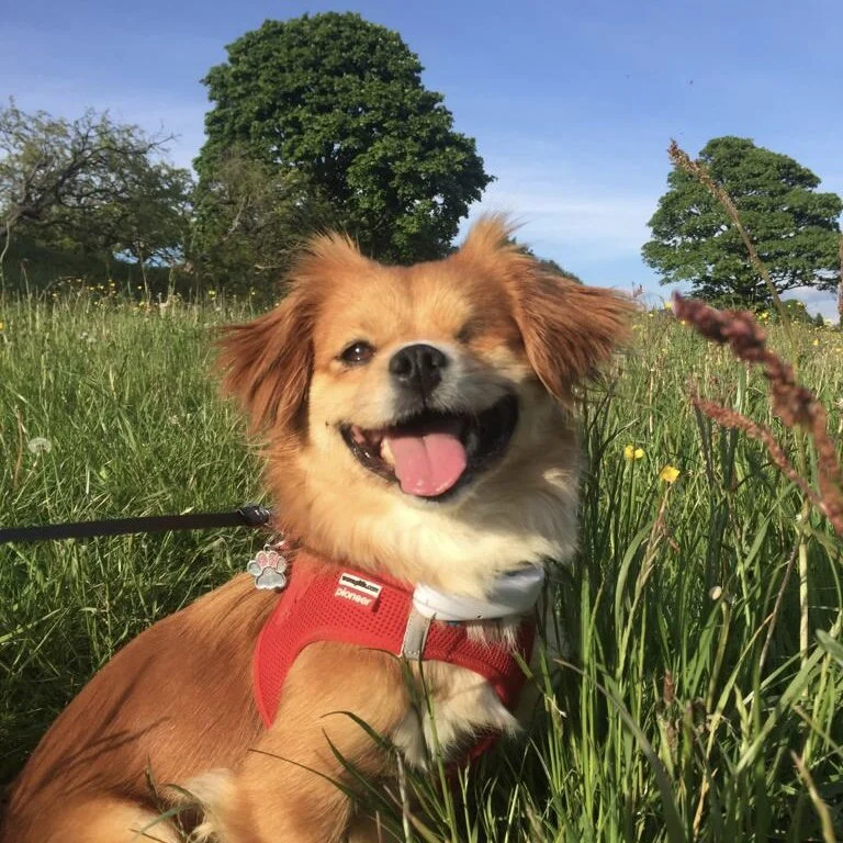 F4E0D40A-C737-4F5D-8DA7-FF7D6E53EEEF