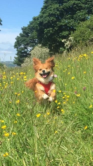 CA5EAA1C-A418-41FA-BF1B-4EC2DC2292D3