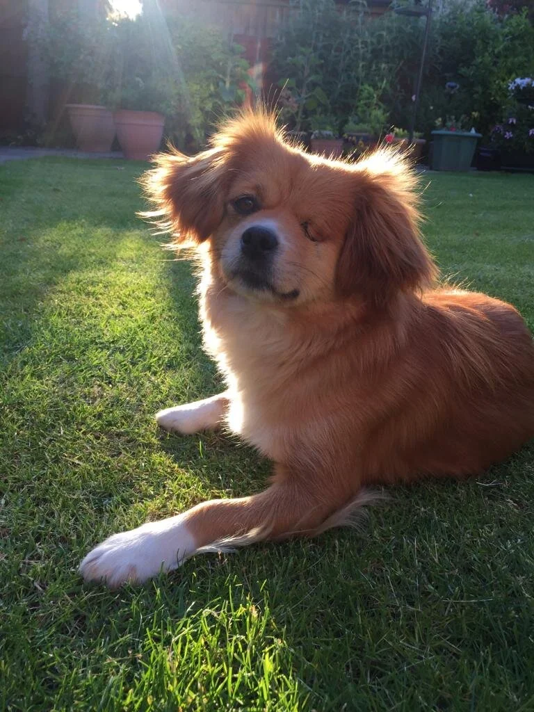 4D96E8D4-39A1-4204-A620-CAA6C9A044B1